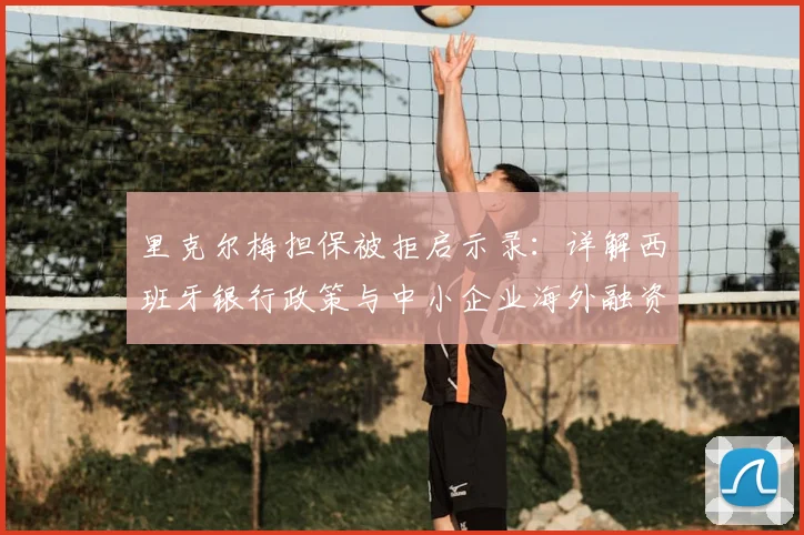 里克尔梅担保被拒启示录：详解西班牙银行政策与中小企业海外融资替代方案